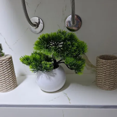 Vikvid Διαμέρισμα Κοπαόνικ