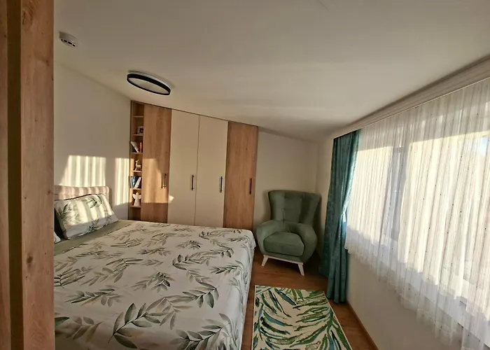 Vikvid Κοπαόνικ