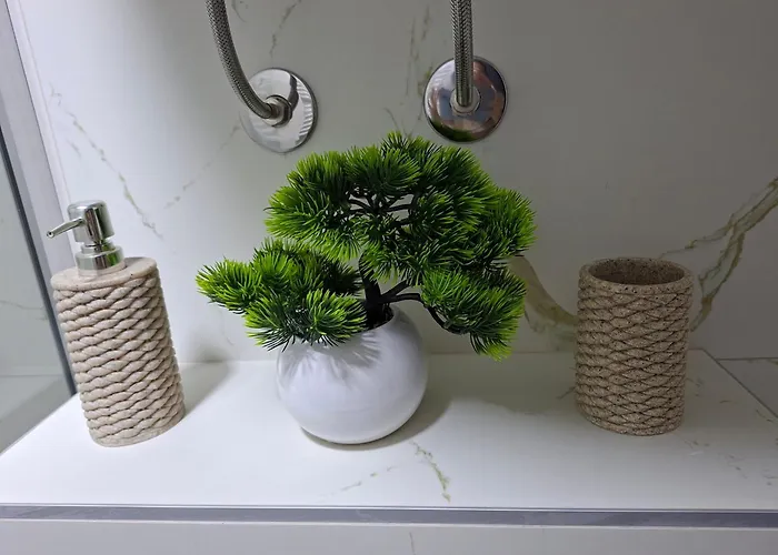 Vikvid Διαμέρισμα Κοπαόνικ